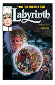 JIM HENSONS LABYRINTH ARCHIVE ED #3 (OF 3) CVR A PALMER (06/12/2024)