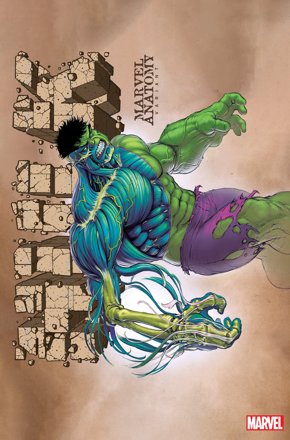 HULK 11 LOBE MARVEL ANATOMY VARIANT (01/18/2023)