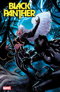 BLACK PANTHER 6 COCCOLO VARIANT [1:25] RATIO INCENTIVE  (06/01/2022)